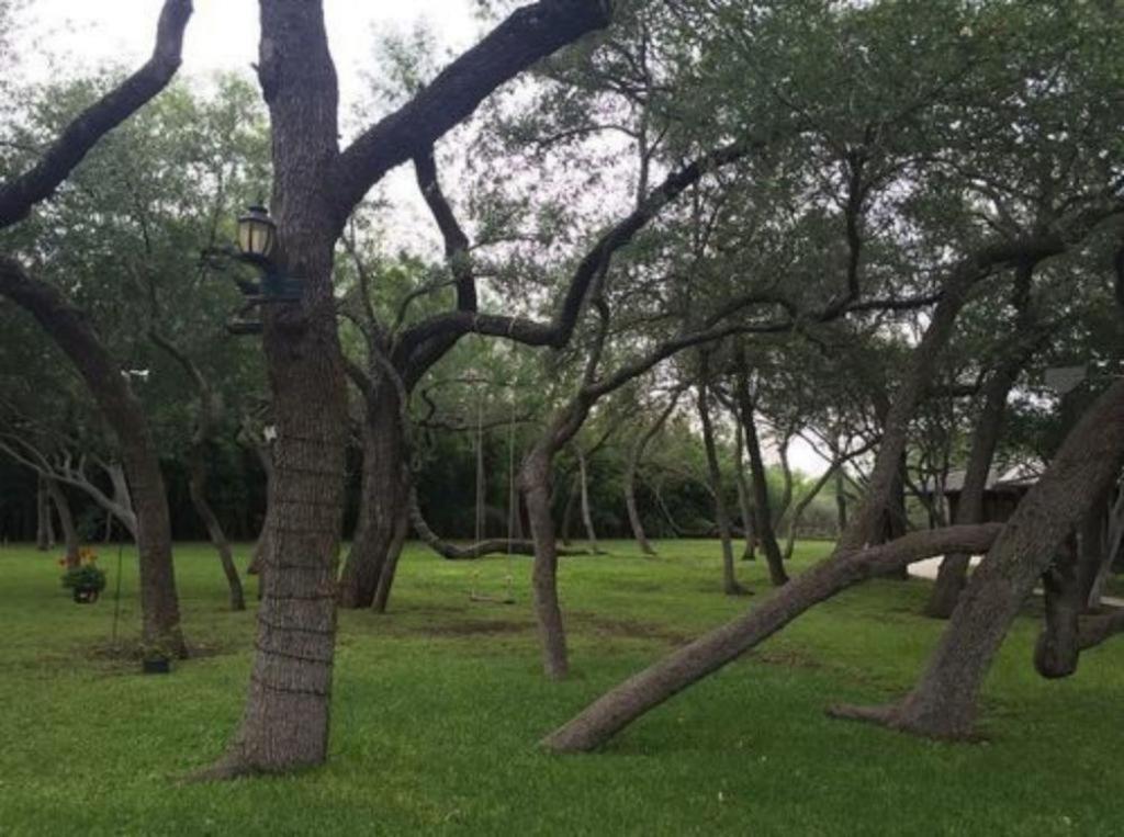 Live Oaks Bed And Breakfast Uvalde Exterior photo