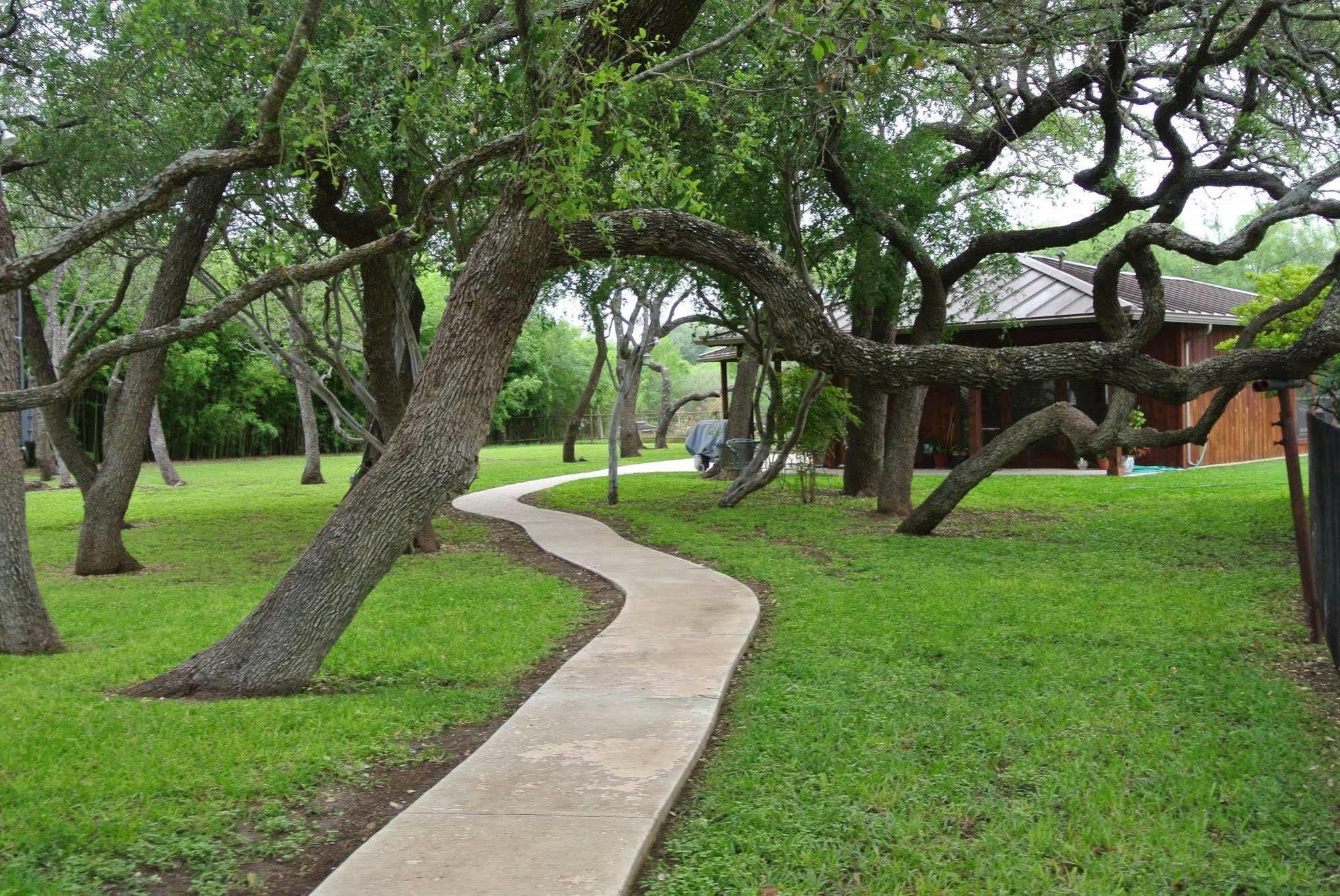 Live Oaks Bed And Breakfast Uvalde Exterior photo